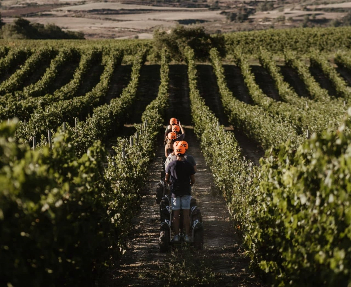 Viu00f1edos de Bodegas Muga