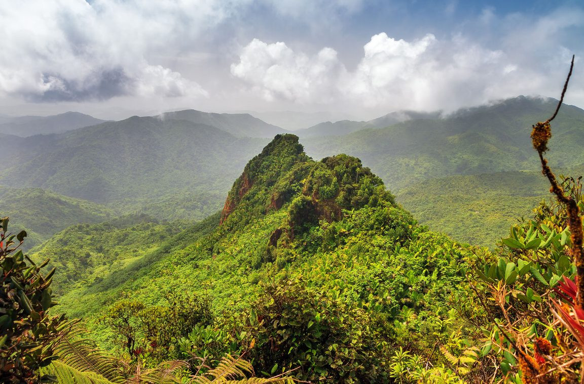 El yunque un bosque tropical en puerto rico 1152x759
