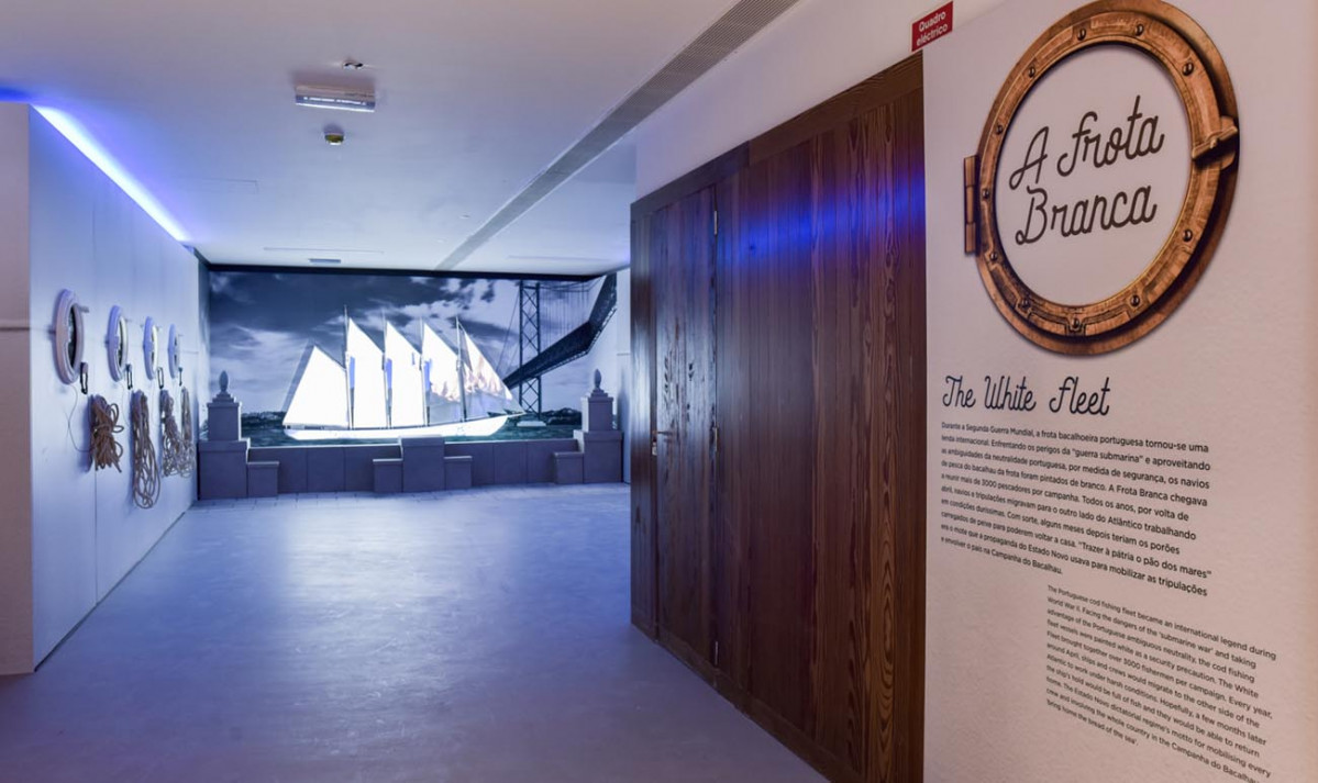 Museo bacalao