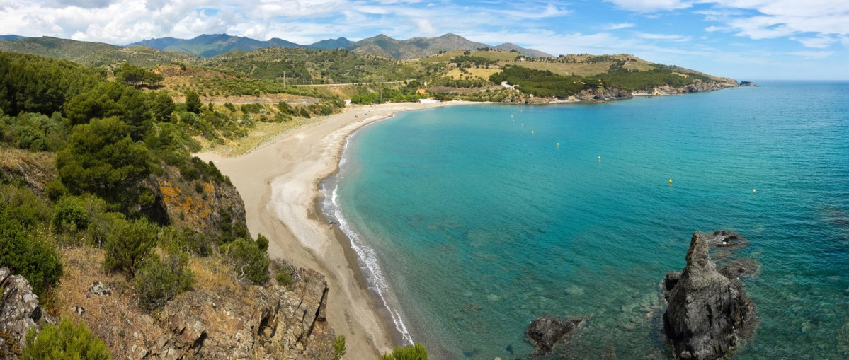 Colera garbet c jaume campderros