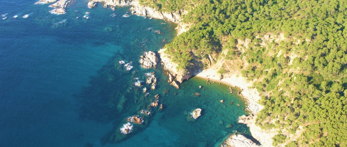 Mont ras cala del vedell c arxiu