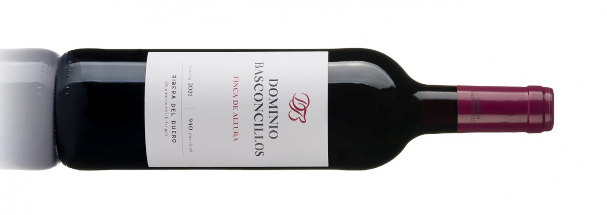 Dominio Bascocillos 2 (2)
