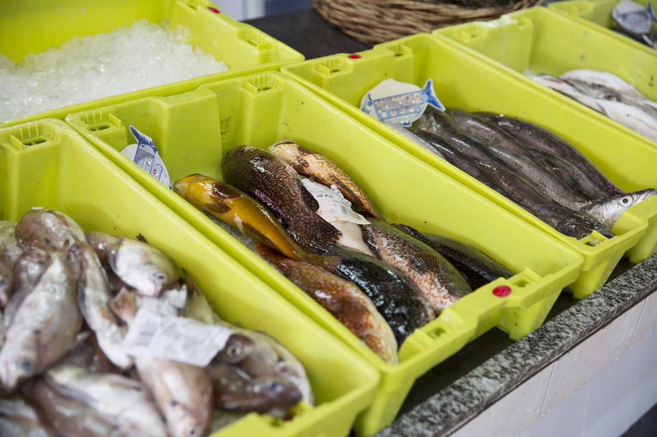 Pescados en la lonja de Noia