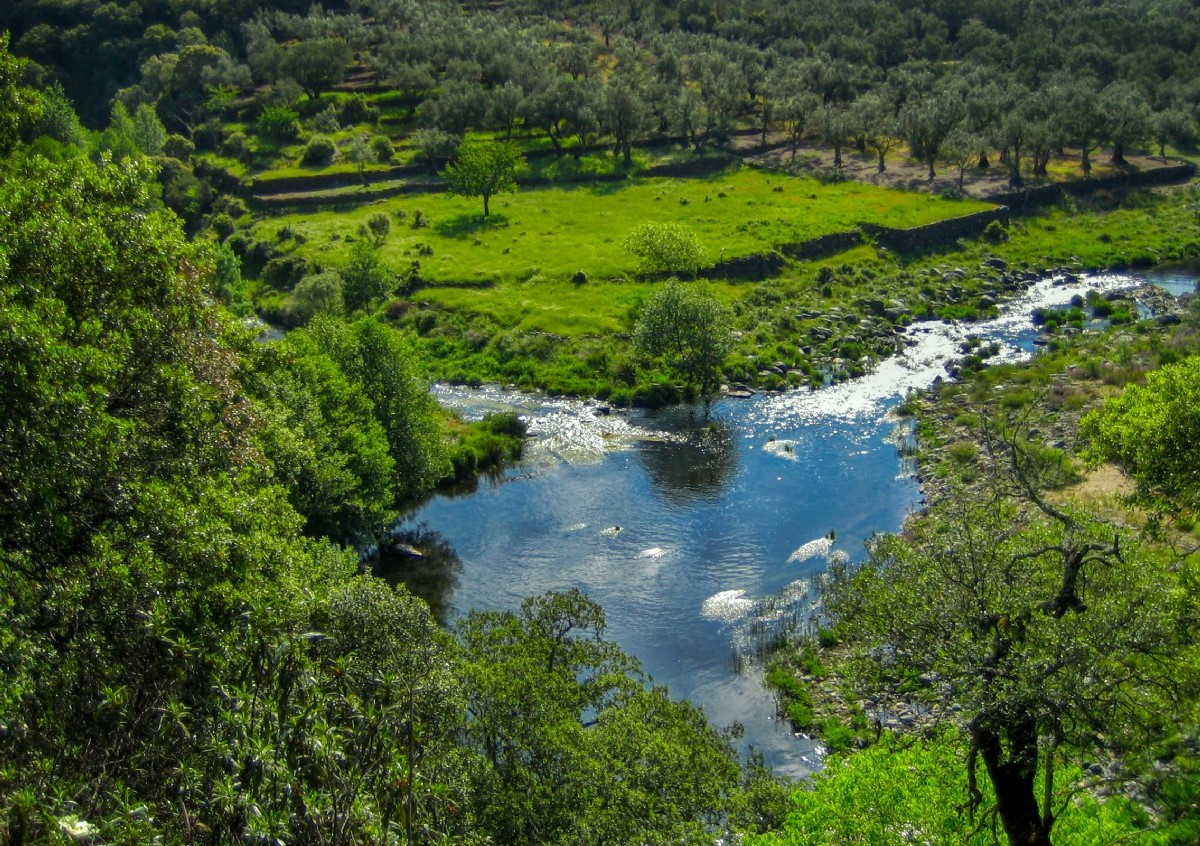 Charco el pielago confluencia del quilama con el alagon valero salamanca 90986 xl