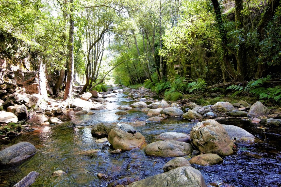 Rio batuecas