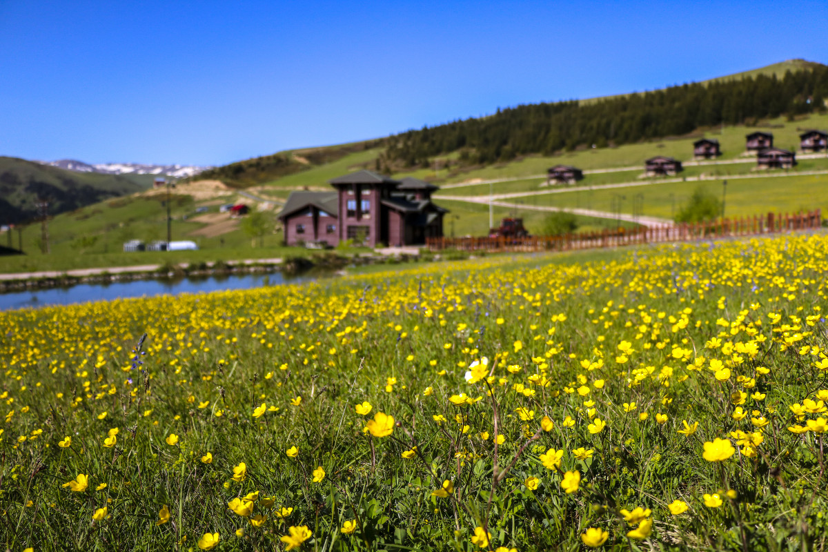 Giresun Kumbet Plateau 1