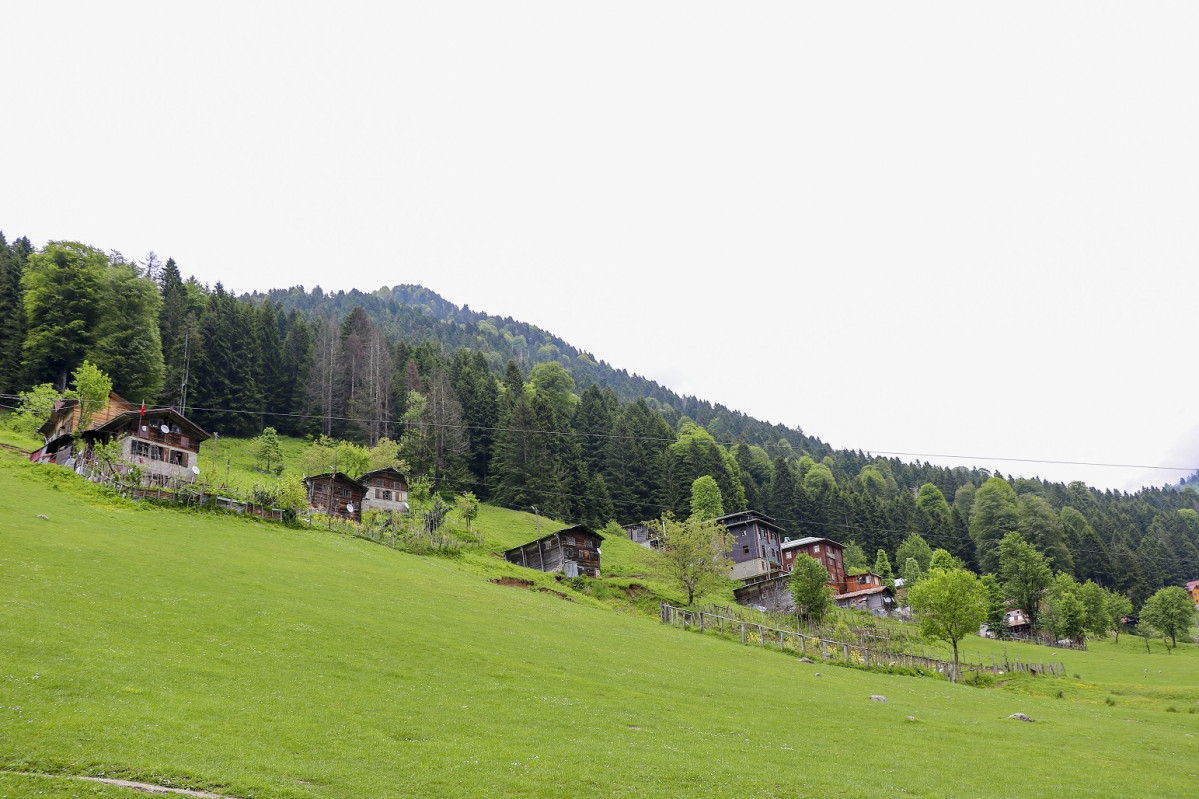 Rize Ayder Plateau 1