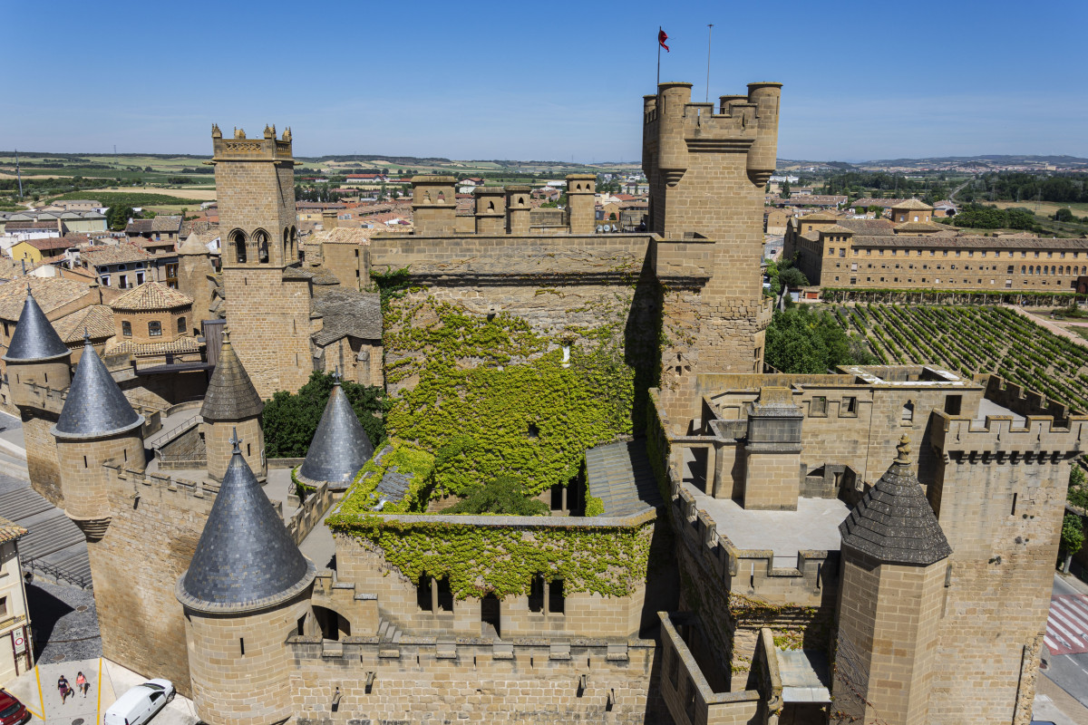 Olite, Castillo