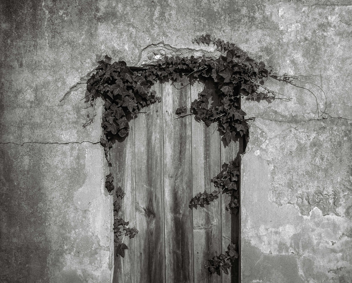 17 transcurso jose quintanilla. 60 x 72 cm