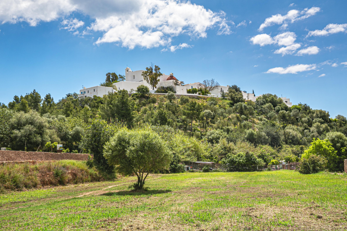 PUIG DE MISSA 1 