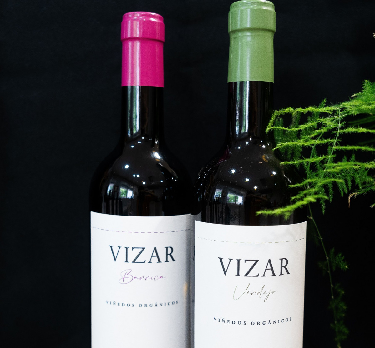 Vizar Verdejo y Vizar Barrica
