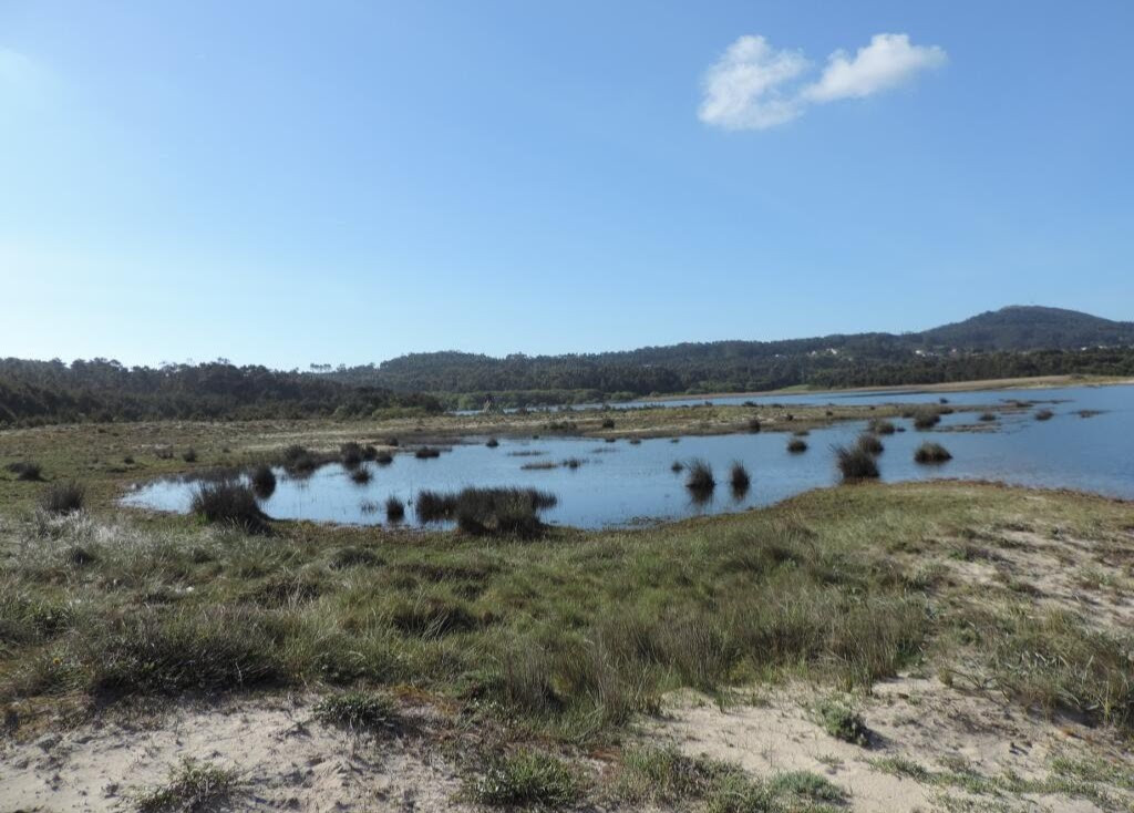 LAGUNA DE SAN PEDRO DE MURO,  Porto do Son