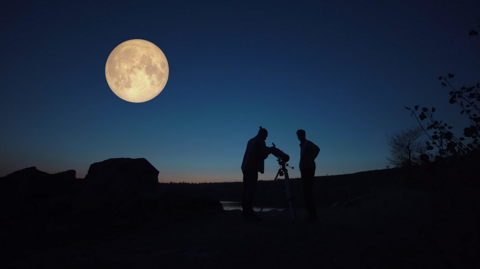 Moon watching        @shutterstock