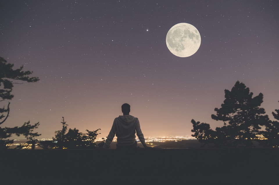 Moon watching       @shutterstock