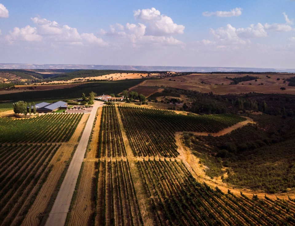 Finca Rio Negro, Bodega