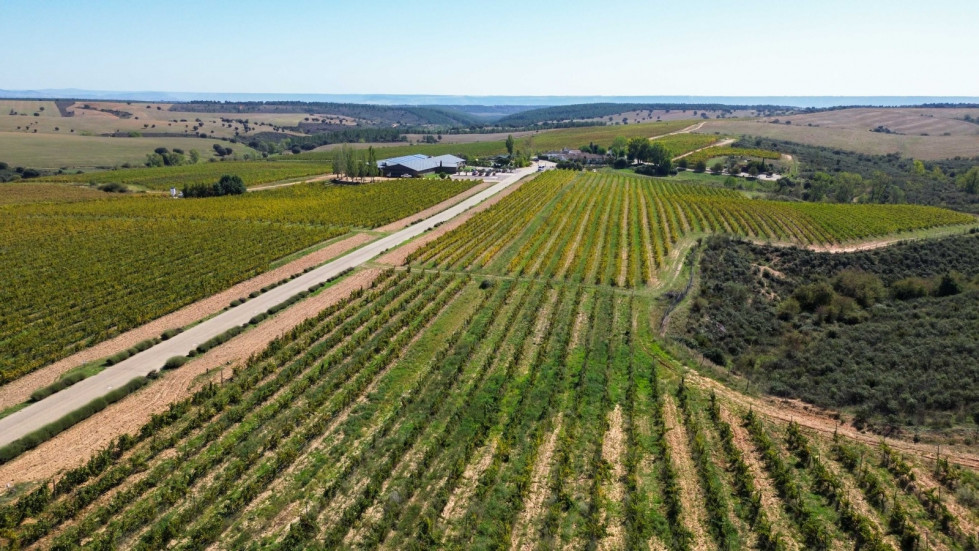 Vista aérea de Bodega Rio Negro
