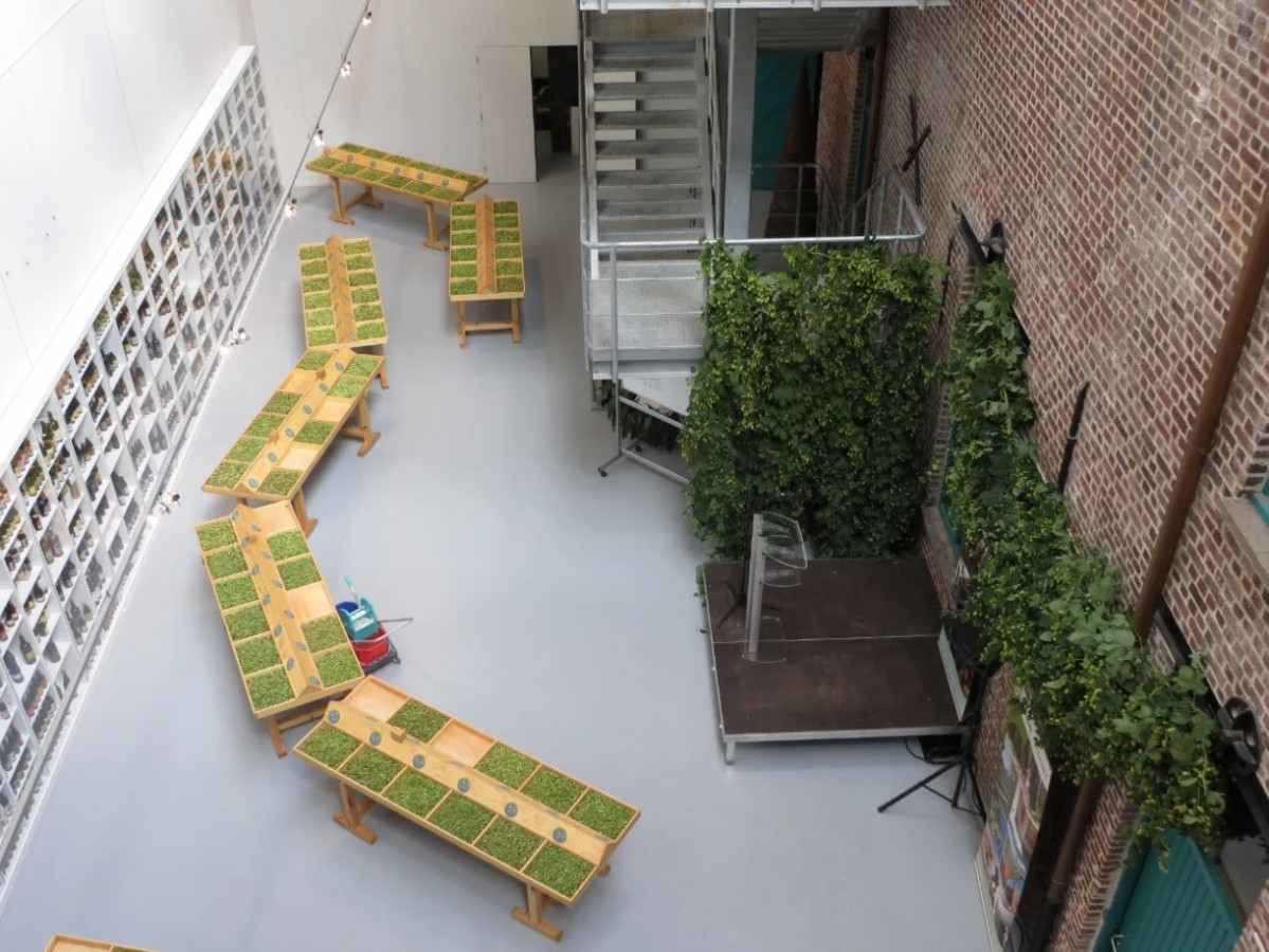 Hop museum en Poperinge 1