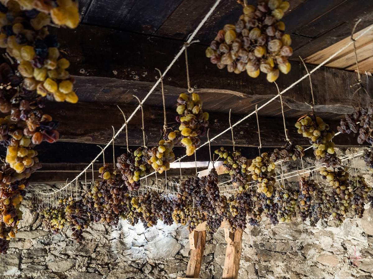 7 Colgadera de racimos de godello para el Tostado 2030020 b