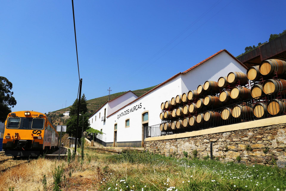 Quinta dos Murcas