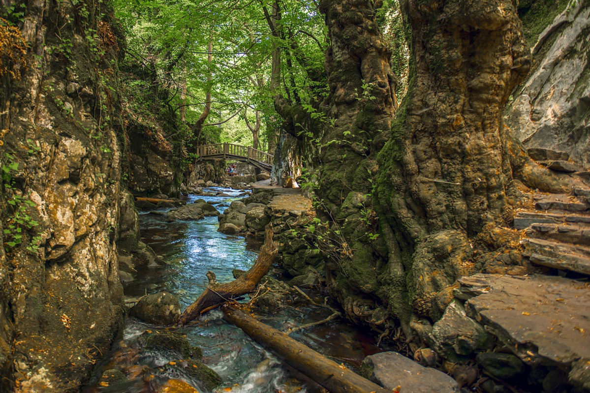 Canakkale Ida Mountain 2