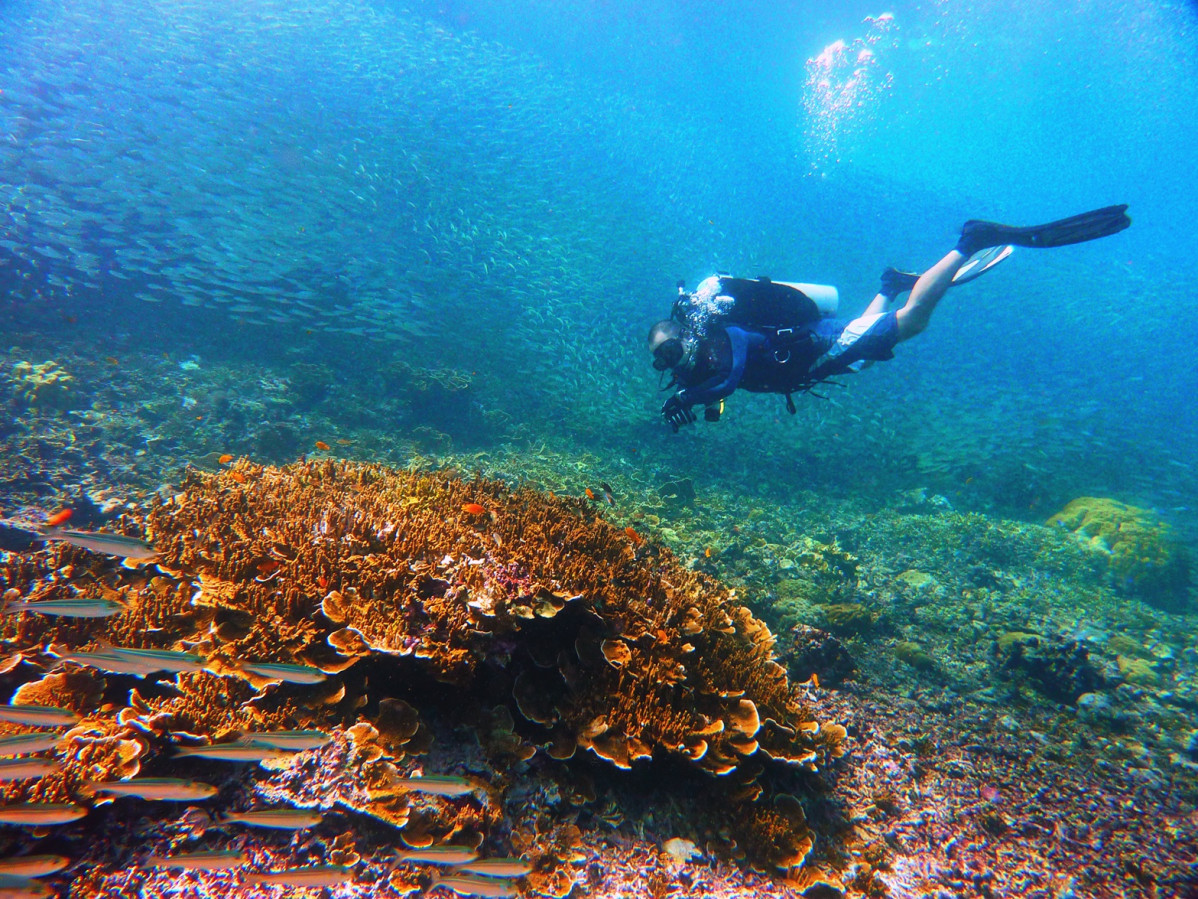 R4A   Anilao, Batangas. Photo by Evelyn Go courtesy of the Department of Tourism