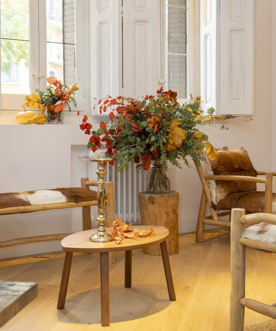 Semilla Food Studio