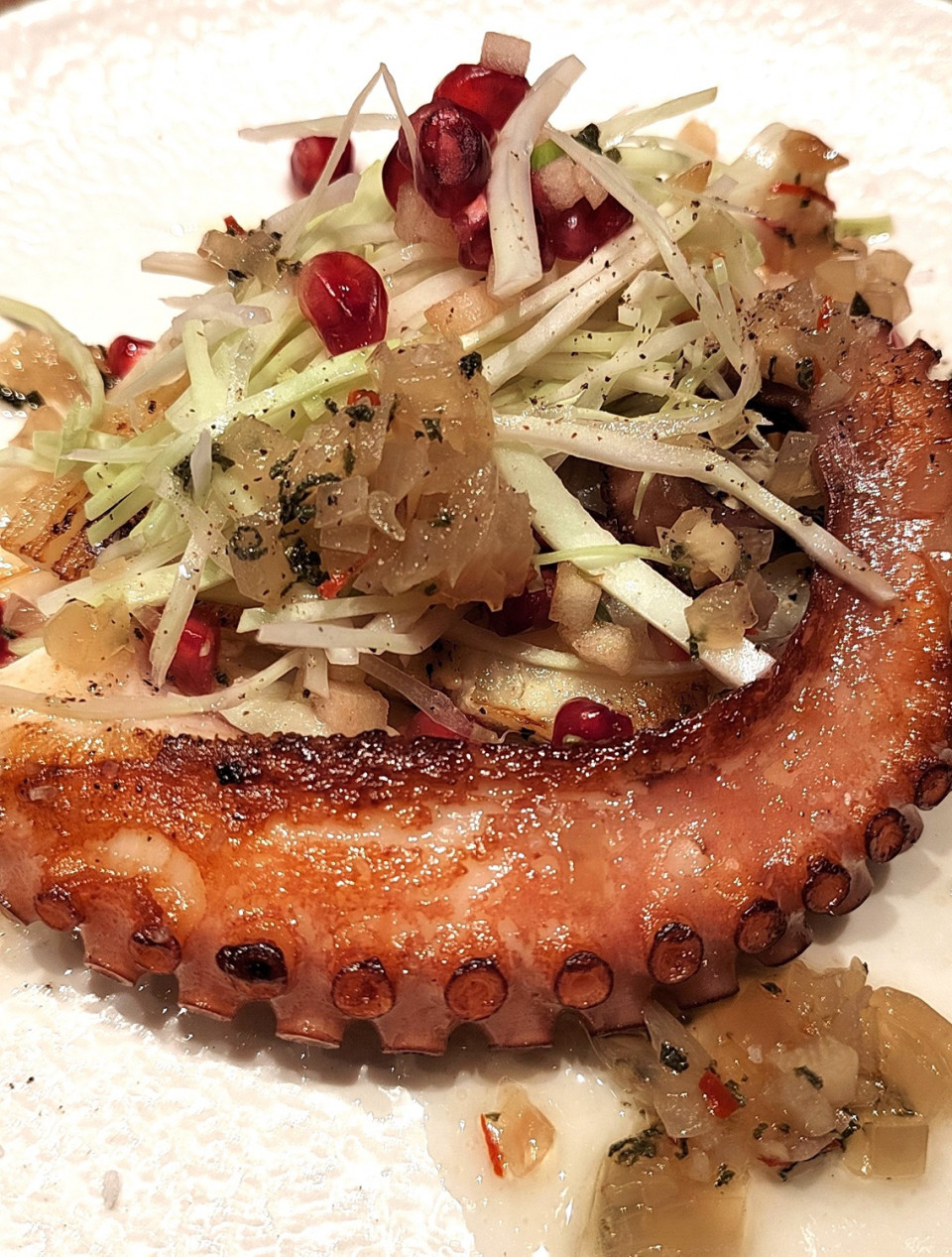 Pulpo de roca