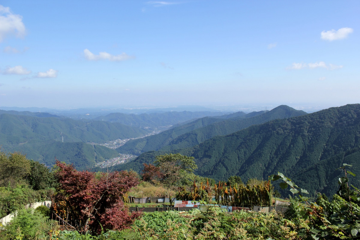 Mt. Mitake, Japon