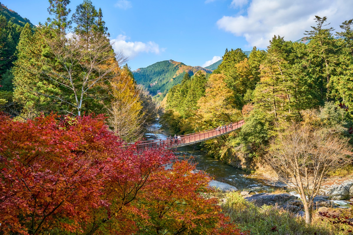 Valle Akigawa, Japon