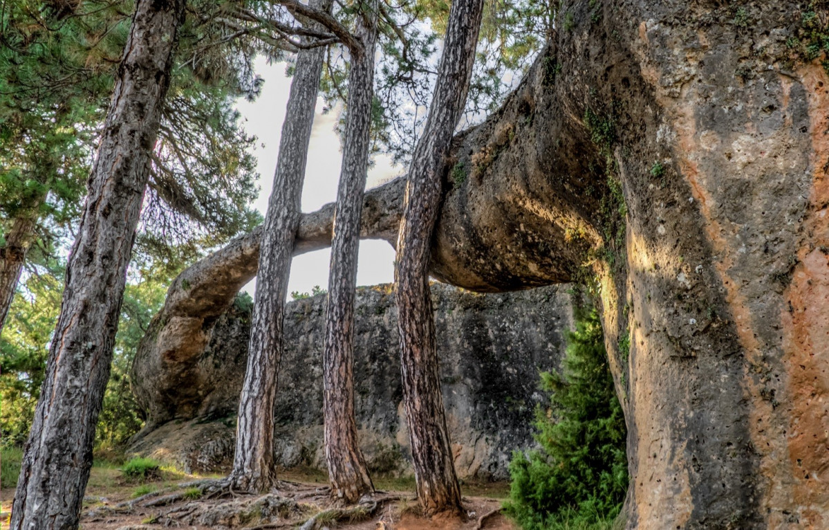 La Ciudad Encantada. Cuenca. Lucha entre elefante y cocodrilo.