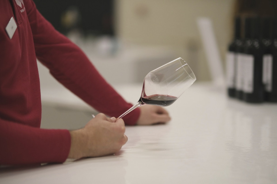 The Wine Experience catas
