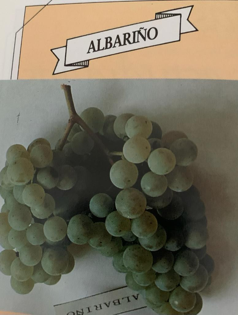 PHOTO 2023 12 15 14 47 50 1