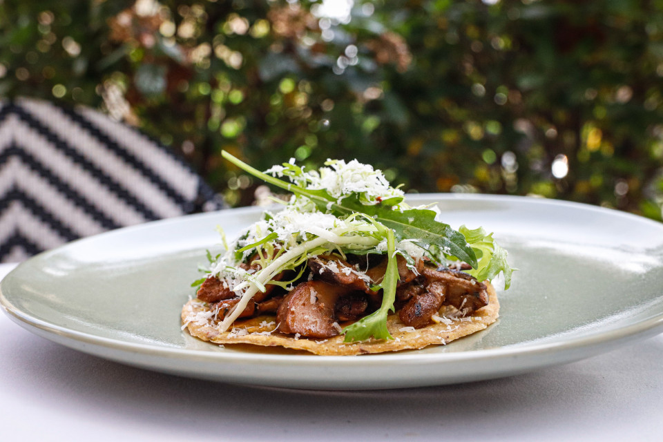 Tepic taco de hongos
