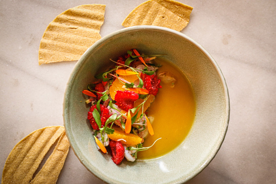 Ceviche de frutos rojos en Tepic