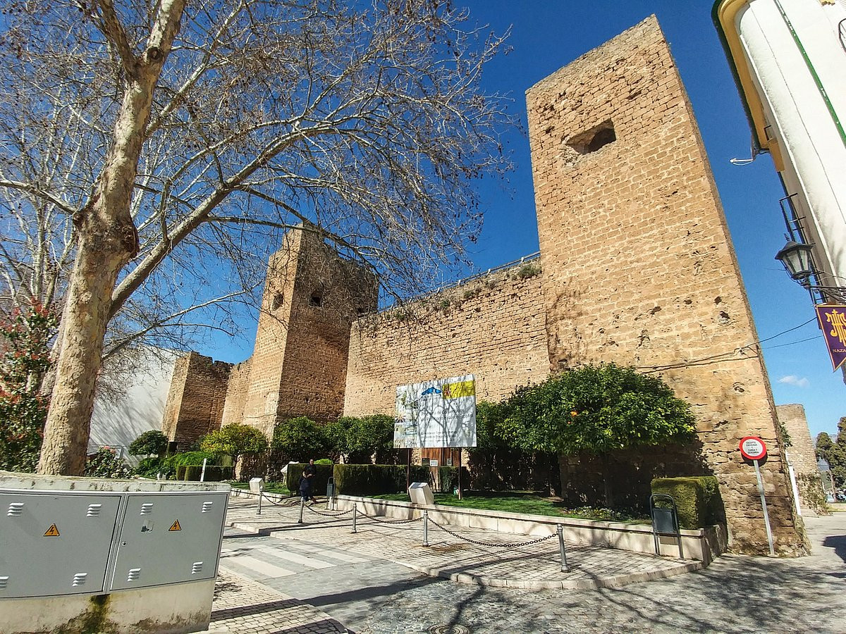 Castillo de priego de