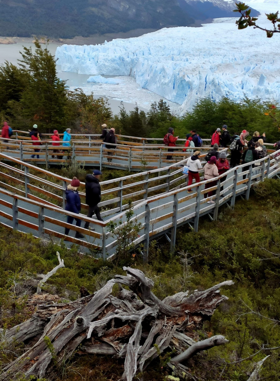 Pasarelas para ver el Perito Moreno   PR