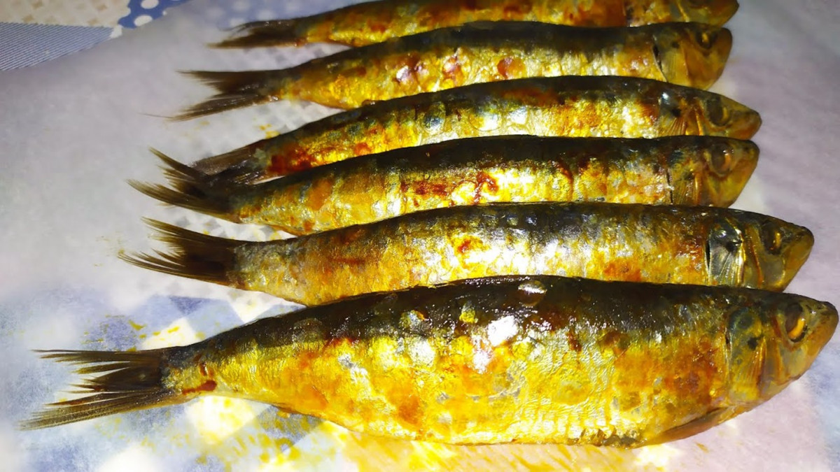 Sardinas en salazu00f3n