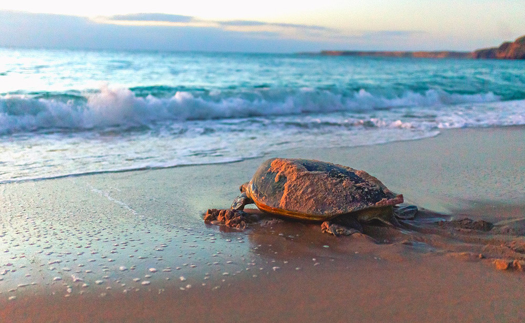 Cinco Estrellas Club 30ene