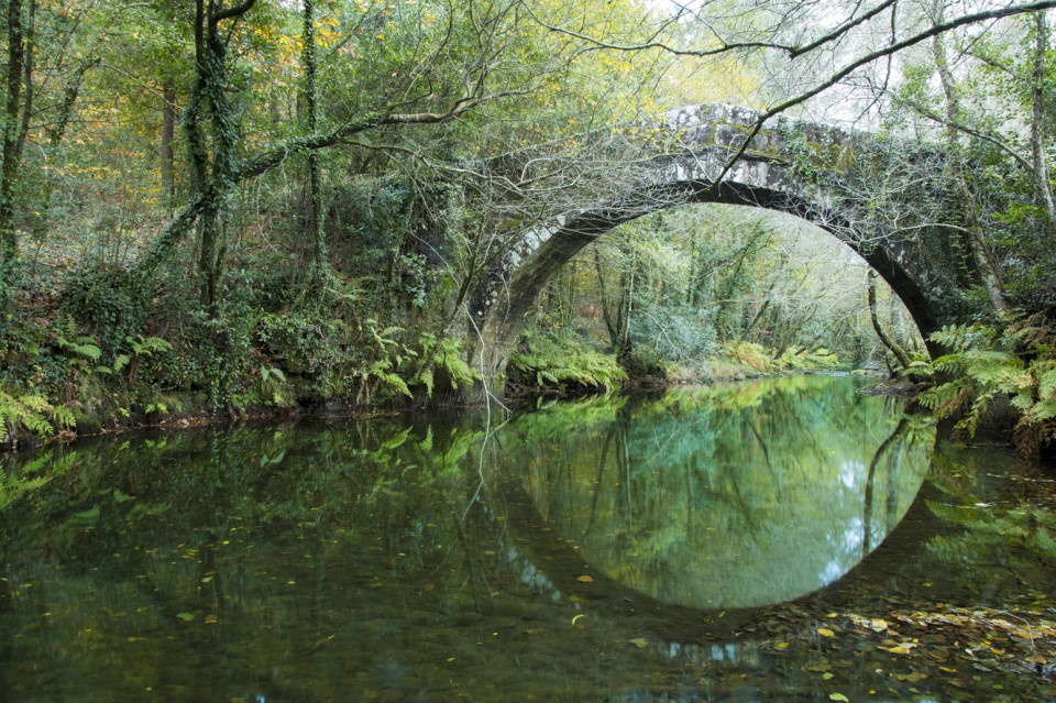 Ponte do ruso