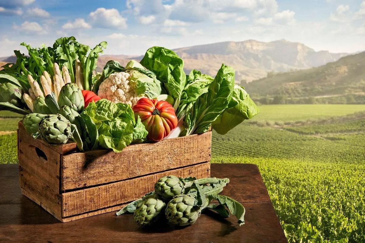 Verduras de Navarra