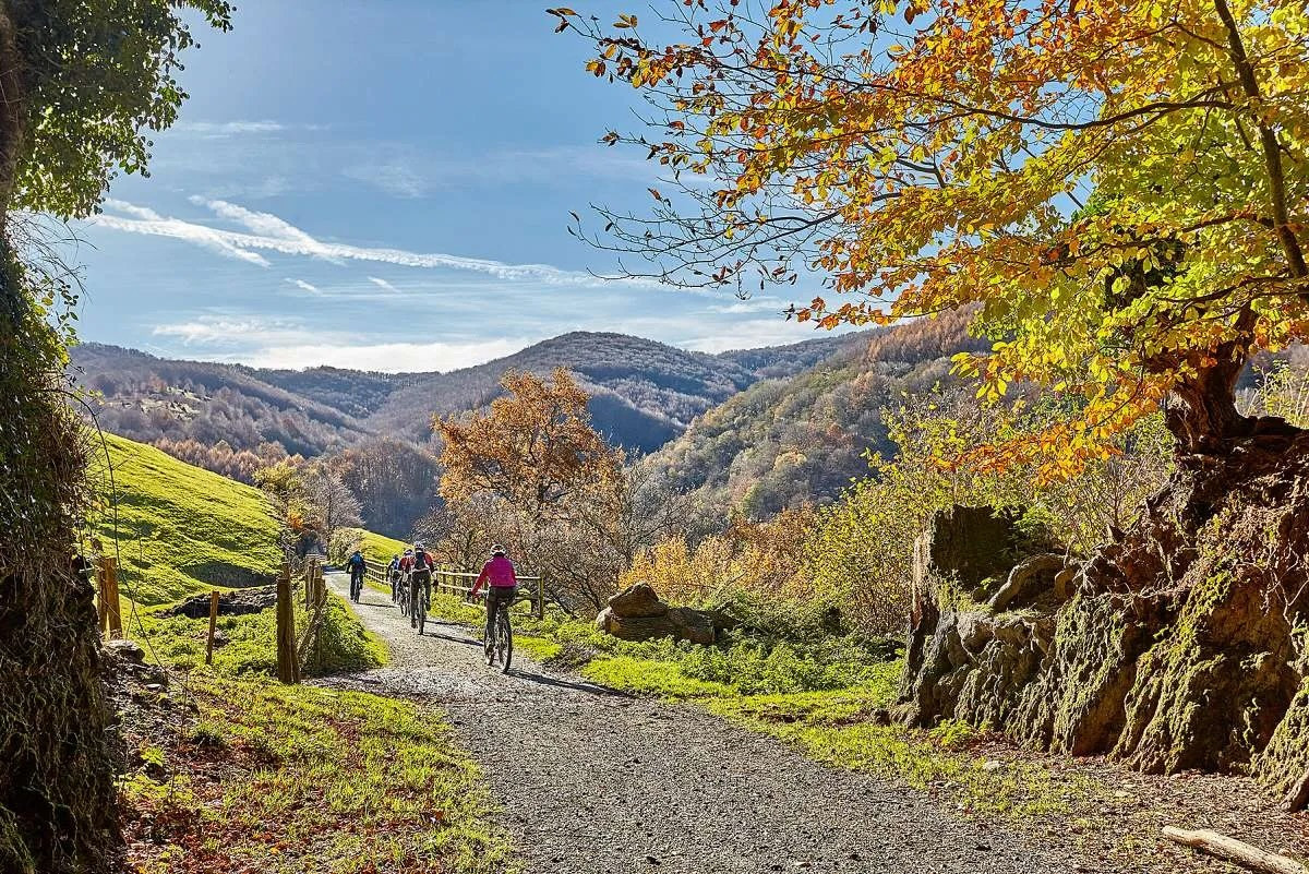 Bicicleta en Navarra