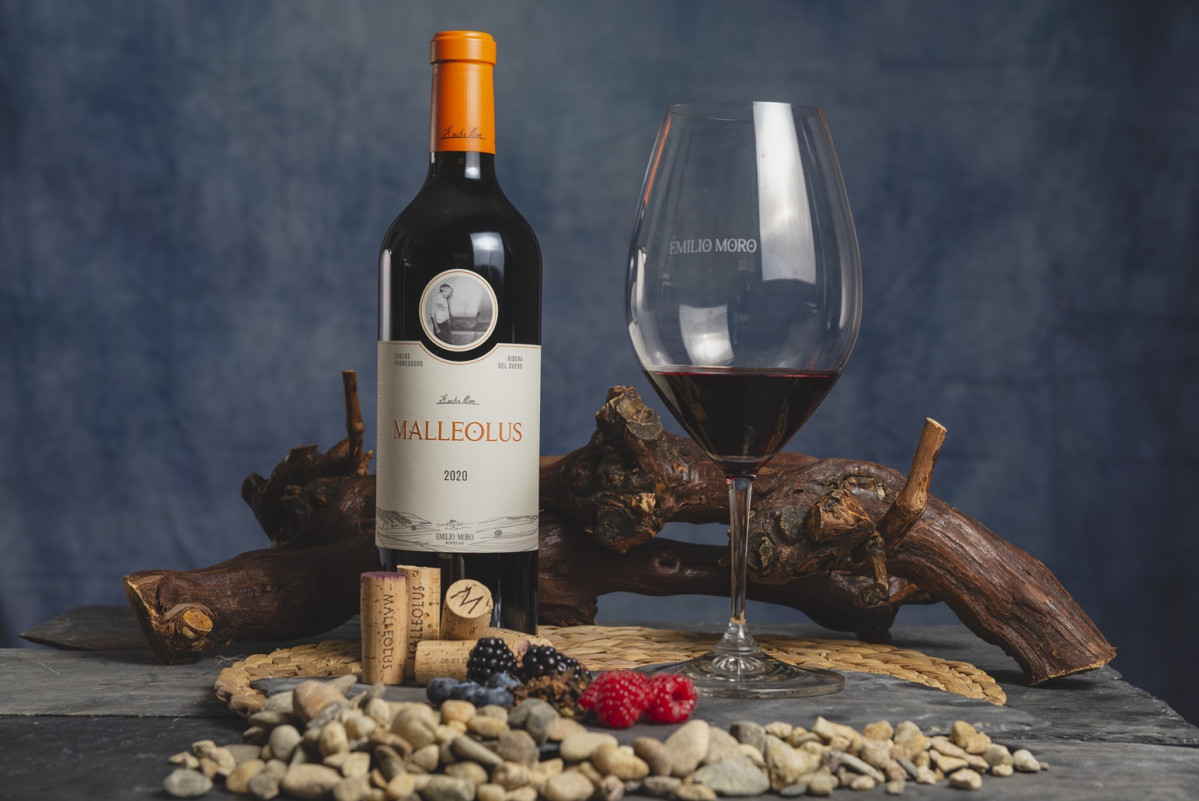 MALLEOLUS BODEGONES HQ 76