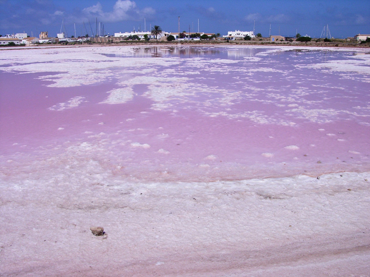 Salines, Formentera