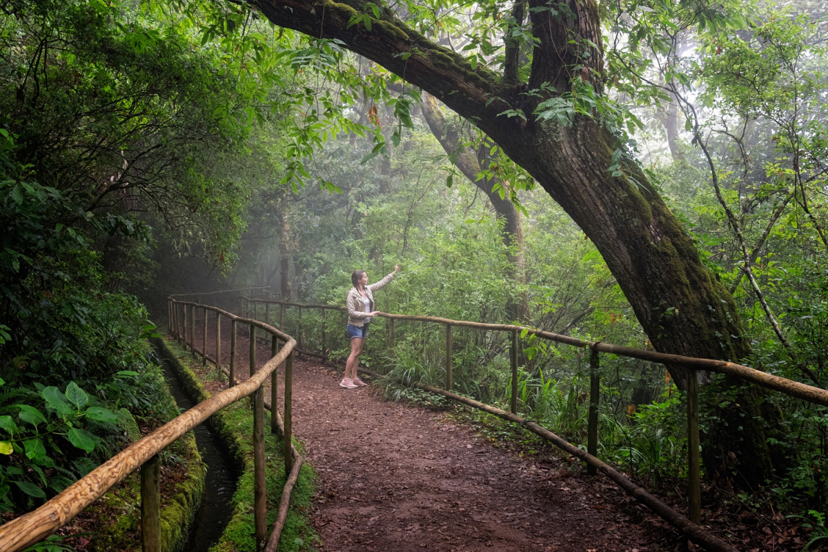 Um caminho para todos   Queimadas, Madeira