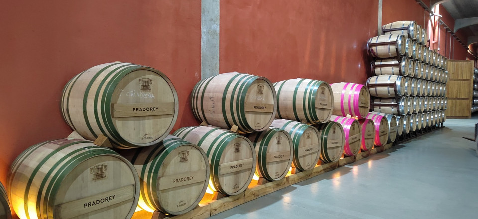 Bodegas Pradorey