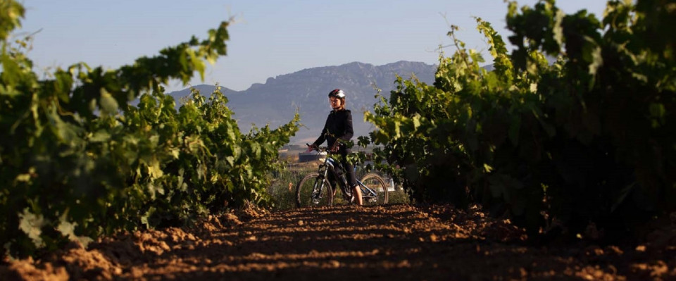 RIOJA ALAVESA Btt  bici