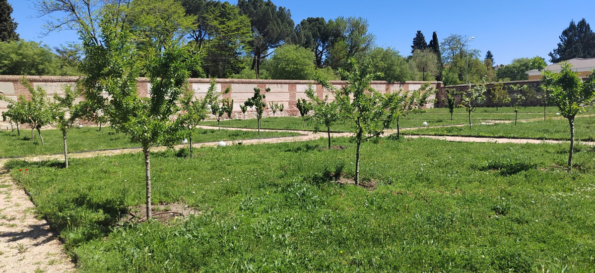 Huerta de Moscatel