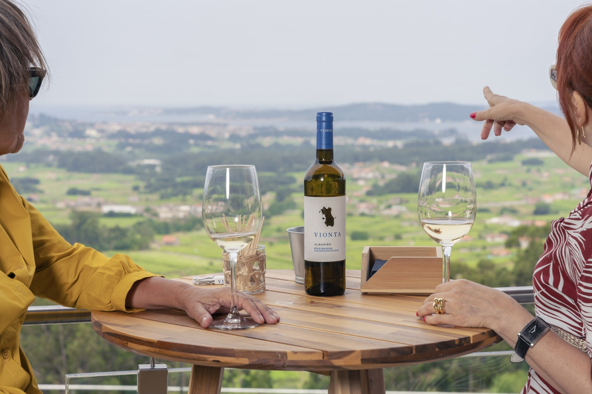 Terraza de Bodegas Vionta