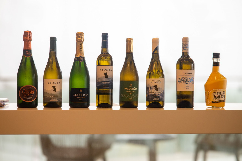 Distintas variedades del Grupo Ferrer Wines