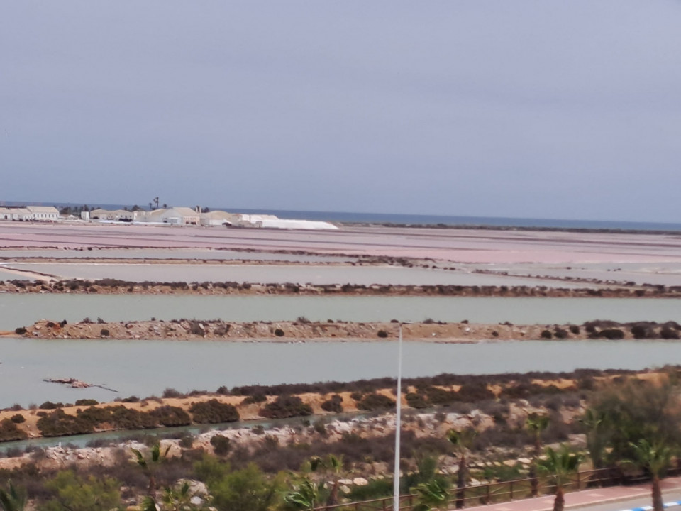 Salinas